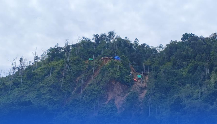 Pemerintah Kuasai Lagi 321 Hektare Lahan Tambang Ilegal