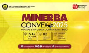 Minerba CONVEX